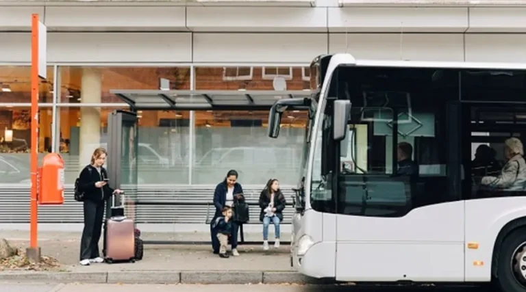 Buses
