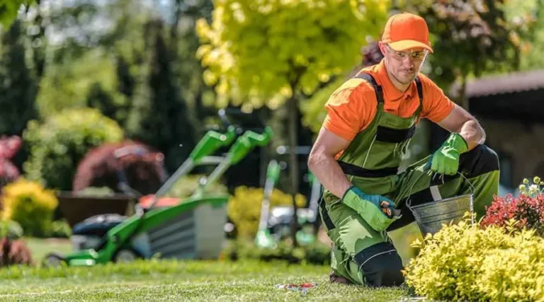 Unveiling the Beauty: A Comprehensive Guide to Essential Landscaping Tools Landscaping Tools